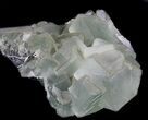 Cubic, Green Fluorite From China - Large Cubes #39126-2